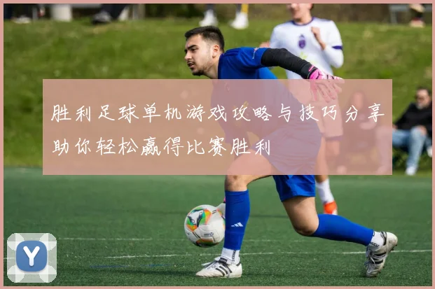 胜利足球单机游戏攻略与技巧分享助你轻松赢得比赛胜利
