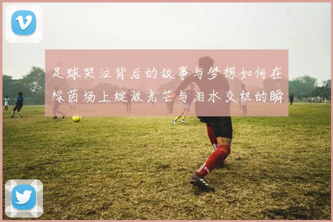 足球哭泣背后的故事与梦想如何在绿茵场上绽放光芒与泪水交织的瞬间