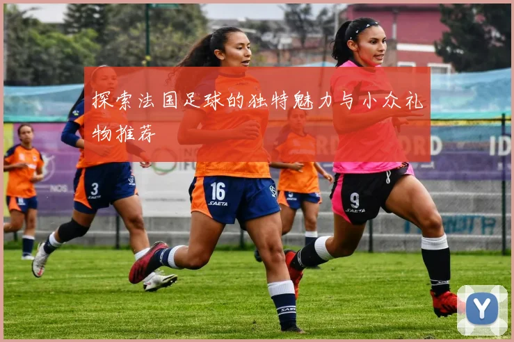 探索法国足球的独特魅力与小众礼物推荐
