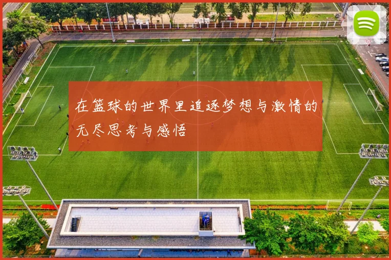 在篮球的世界里追逐梦想与激情的无尽思考与感悟