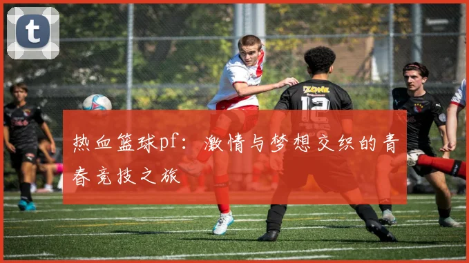 热血篮球pf：激情与梦想交织的青春竞技之旅